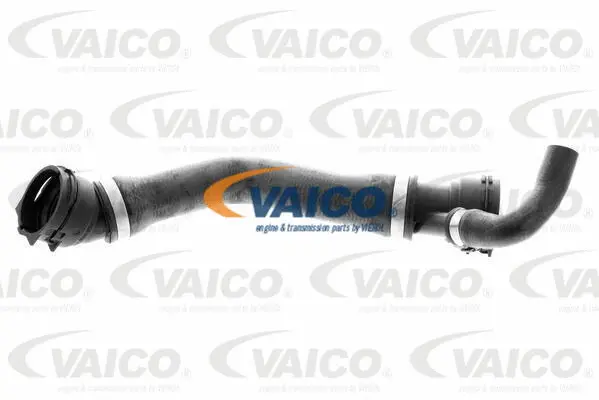 V20-1331 VAICO Шланг радиатора (фото 1)