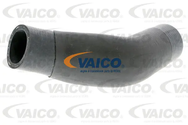 V20-2608 VAICO Шланг радиатора (фото 1)