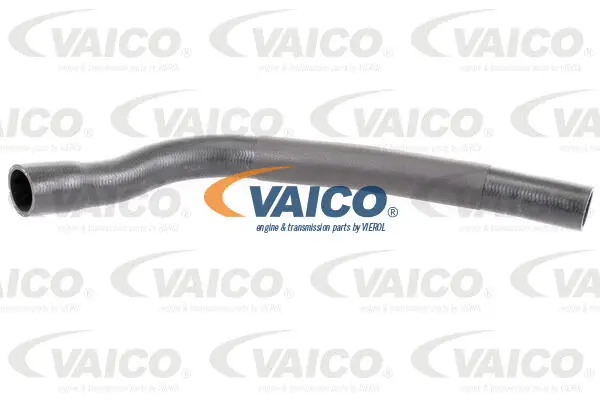 V20-3333 VAICO Шланг радиатора (фото 1)