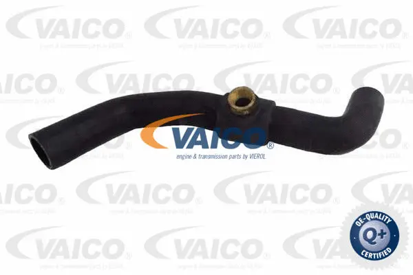 V25-2568 VAICO Шланг радиатора (фото 1)