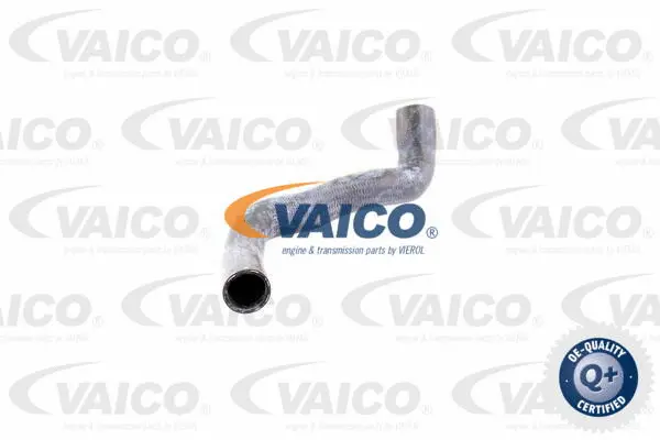 V30-0146 VAICO Шланг радиатора (фото 1)