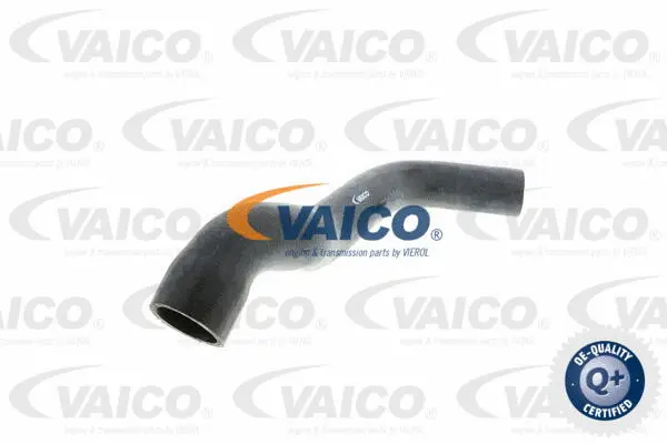 V30-0148 VAICO Шланг радиатора (фото 1)