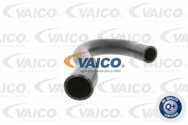 V30-0258 VAICO Шланг радиатора (фото 1)