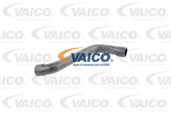 V30-0706 VAICO Шланг радиатора (фото 1)