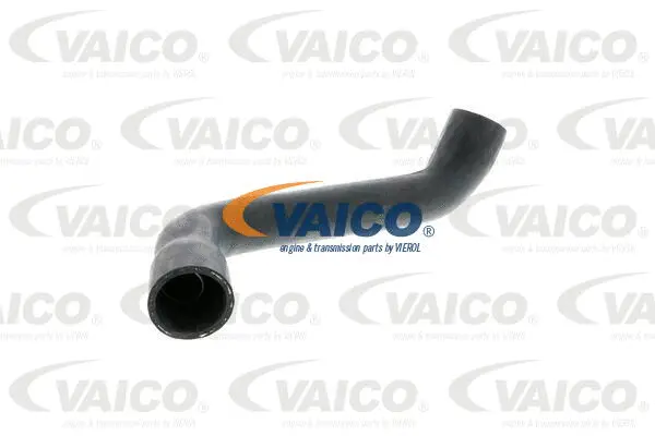 V30-0711 VAICO Шланг радиатора (фото 1)