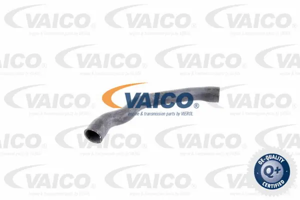 V30-2099 VAICO Шланг радиатора (фото 1)