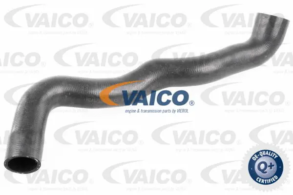 V30-2913 VAICO Шланг радиатора (фото 1)