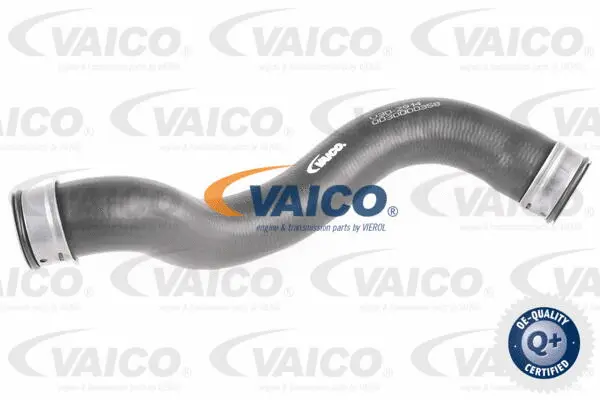 V30-2914 VAICO Шланг радиатора (фото 1)