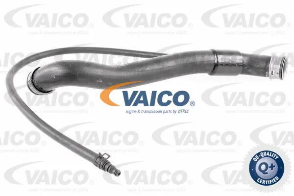 V30-3142 VAICO Шланг радиатора (фото 1)