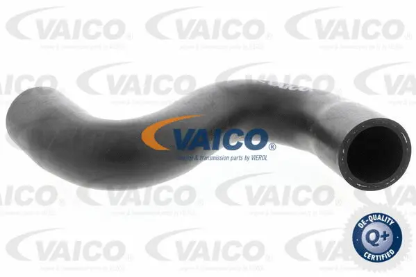 V42-0635 VAICO Шланг радиатора (фото 1)
