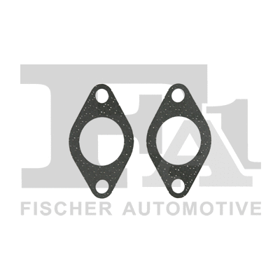 KG110050E FA1/FISCHER Комплект прокладок, AGR-система (фото 1)