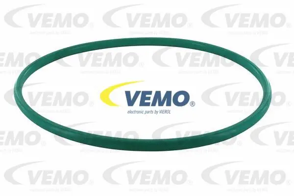 V22-09-0031 VEMO Прокладка, датчик уровня топлива (фото 1)
