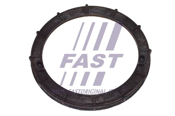 FT94646 FAST Прокладка, датчик уровня топлива (фото 1)