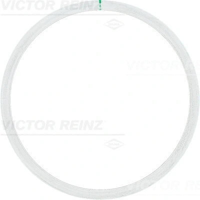 61-25315-10 VICTOR REINZ Прокладка, головка цилиндра (фото 1)