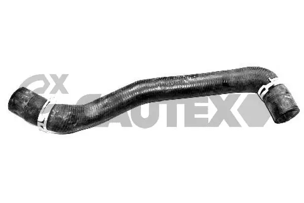081051 CAUTEX Шланг радиатора (фото 1)