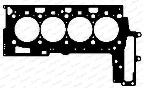 AG5030 PAYEN Прокладка, головка цилиндра (фото 1)