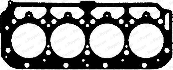BG540 PAYEN Прокладка, головка цилиндра (фото 1)