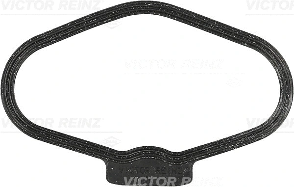 71-10170-00 VICTOR REINZ Прокладка, крышка головки цилиндра (фото 1)