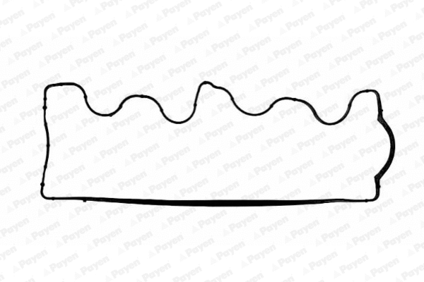 JM5028 PAYEN Прокладка, крышка головки цилиндра (фото 1)
