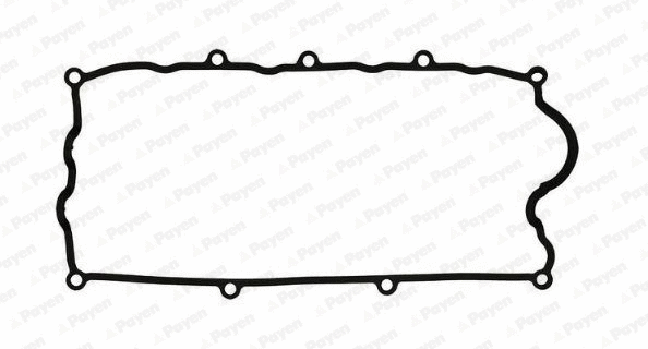 JM5198 PAYEN Прокладка, крышка головки цилиндра (фото 1)