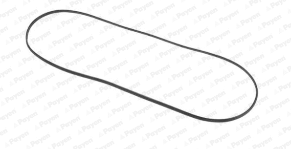 JN707 PAYEN Прокладка, крышка головки цилиндра (фото 1)