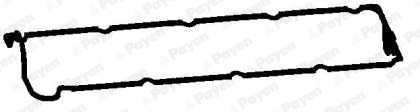 JN955 PAYEN Прокладка, крышка головки цилиндра (фото 1)