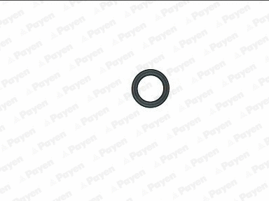 JP077 PAYEN Прокладка, крышка головки цилиндра (фото 1)