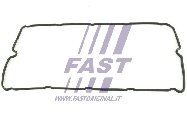FT49011 FAST Прокладка, крышка головки цилиндра (фото 1)