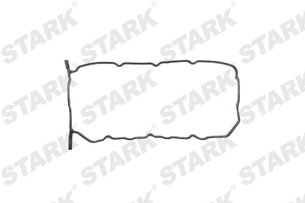 SKGRC-0480049 Stark Прокладка, крышка головки цилиндра (фото 1)