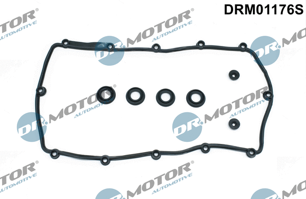 DRM01176S Dr.Motor Automotive Комплект прокладок, крышка головки цилиндра (фото 1)