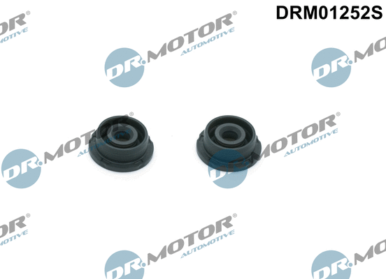 DRM01252S Dr.Motor Automotive Комплект прокладок, крышка головки цилиндра (фото 1)