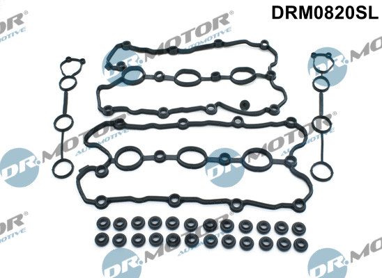 DRM0820SL Dr.Motor Automotive Комплект прокладок, крышка головки цилиндра (фото 1)