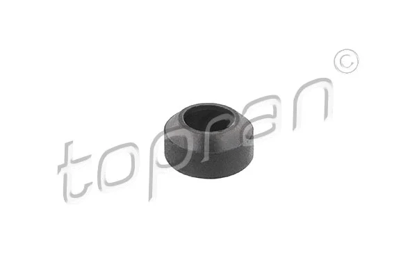 100 291 TOPRAN Прокладка, болт крышка головки цилиндра (фото 1)