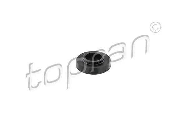 408 438 TOPRAN Прокладка, болт крышка головки цилиндра (фото 1)