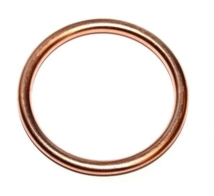 813.184 ELRING Уплотнительное кольцо, резьбовая пробка маслосливн. отверст. (фото 1)