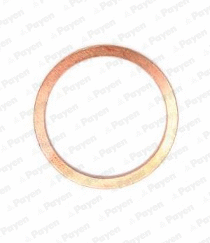KG5386 PAYEN Уплотнительное кольцо, резьбовая пробка маслосливн. отверст. (фото 1)