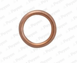 PA349 PAYEN Уплотнительное кольцо, резьбовая пробка маслосливн. отверст. (фото 1)
