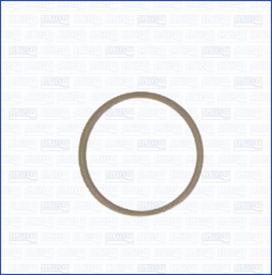 22004800 AJUSA Уплотнительное кольцо, резьбовая пробка маслосливн. отверст. (фото 1)