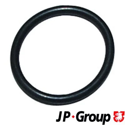 1213850300 JP GROUP Уплотнительное кольцо, резьбовая пробка маслосливн. отверст. (фото 1)
