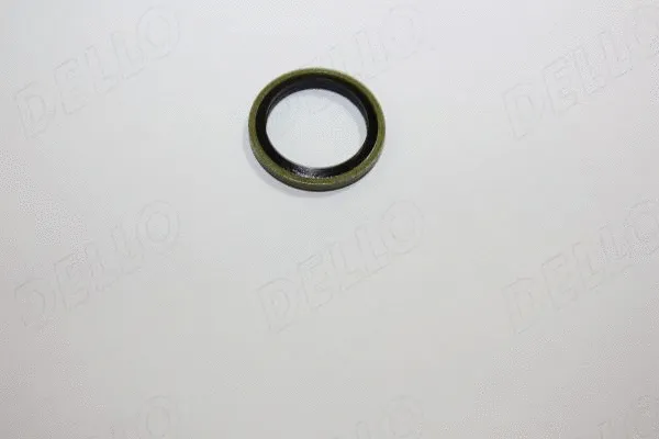 190041510 AUTOMEGA Уплотнительное кольцо, резьбовая пробка маслосливн. отверст. (фото 1)