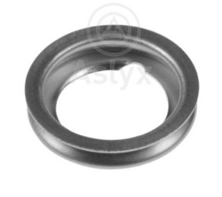 AS-200661 Aslyx Уплотнительное кольцо, резьбовая пробка маслосливн. отверст. (фото 1)