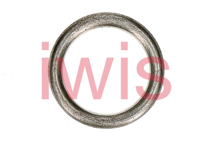 60298 Iwis Motorsysteme Уплотнительное кольцо, резьбовая пробка маслосливн. отверст. (фото 1)
