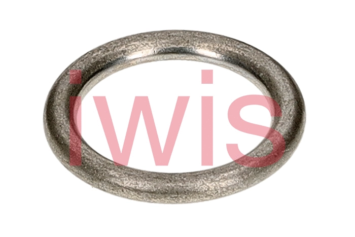60298 Iwis Motorsysteme Уплотнительное кольцо, резьбовая пробка маслосливн. отверст. (фото 2)