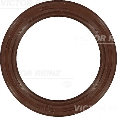 81-53254-00 VICTOR REINZ Уплотняющее кольцо, коленчатый вал (фото 1)