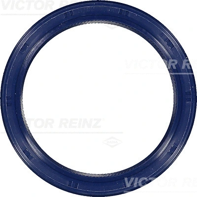 81-53301-00 VICTOR REINZ Уплотняющее кольцо, коленчатый вал (фото 1)