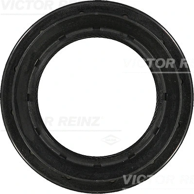 81-29412-00 VICTOR REINZ Уплотняющее кольцо, дифференциал (фото 1)