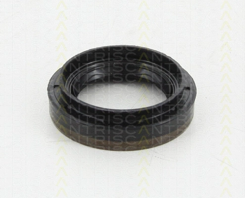 8550 10035 TRISCAN Уплотняющее кольцо, дифференциал (фото 1)