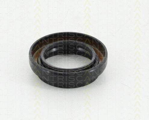 8550 10038 TRISCAN Уплотняющее кольцо, дифференциал (фото 1)