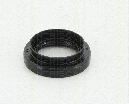 8550 10038 TRISCAN Уплотняющее кольцо, дифференциал (фото 2)