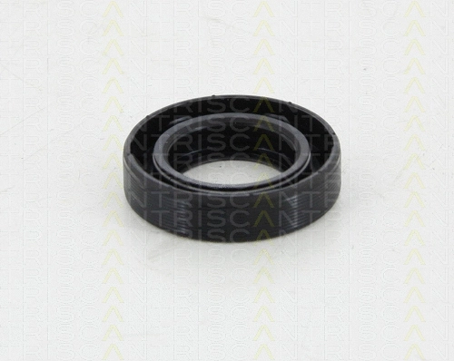 8550 10053 TRISCAN Уплотняющее кольцо, дифференциал (фото 1)